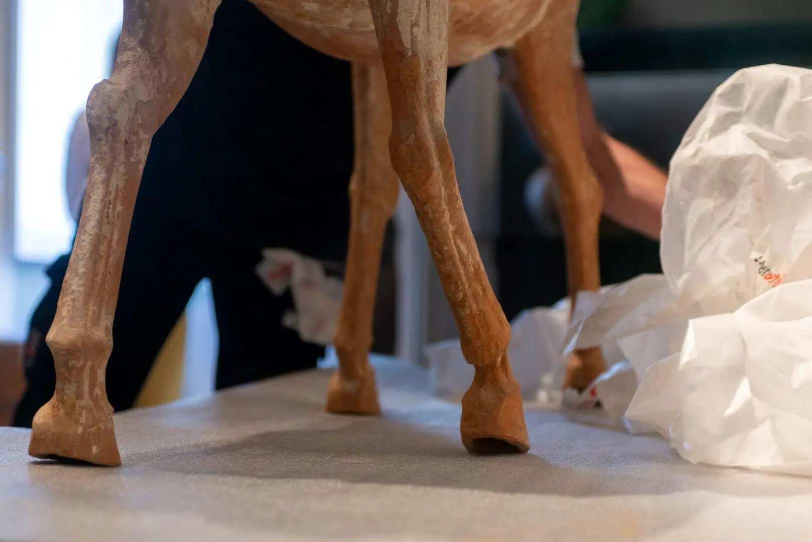 Unwrapping the horse’s body: the legs on the table