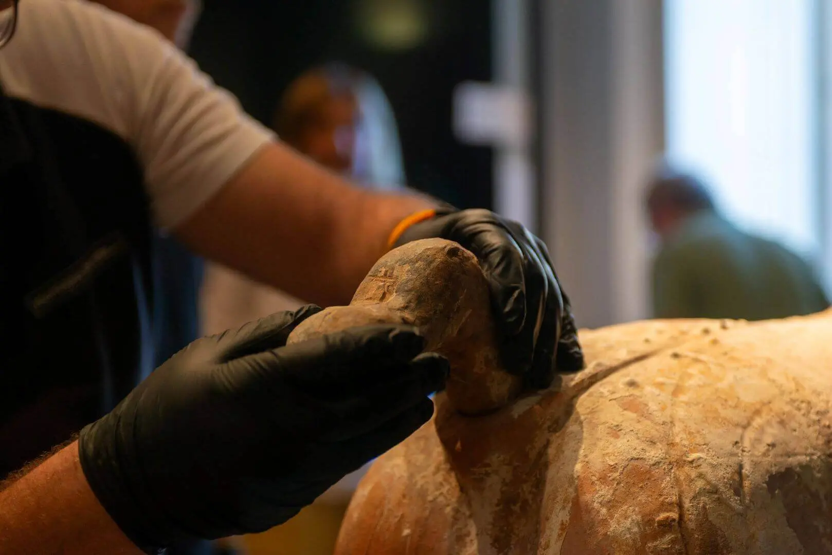 Assembling the horse: fitting the tail