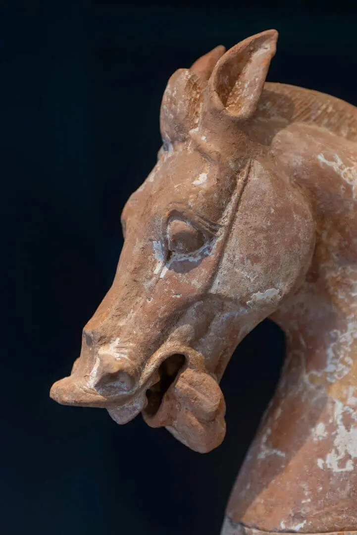 The horse’s head