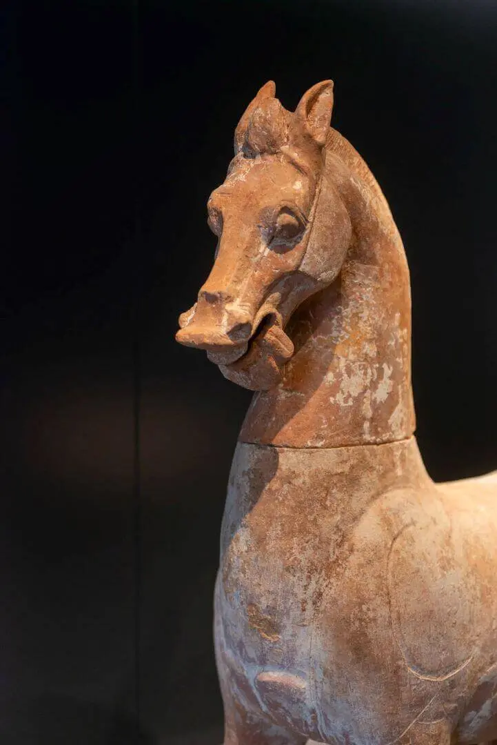 The front of the horse