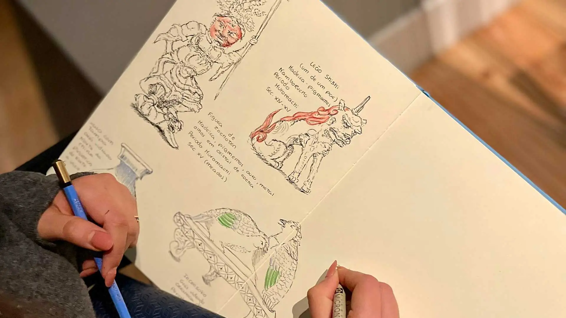 Caderno aberto com desenhos a lápis e a cores de figuras de animais da coleção