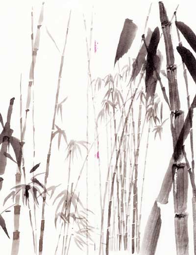 Ilustração de Dragão Chinês