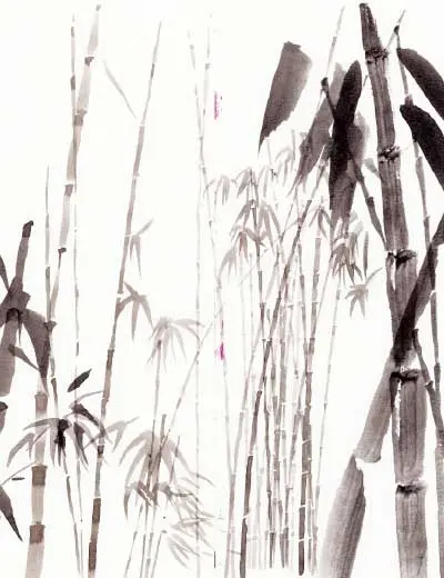 Desenho a tinta-da-china de uma floresta de bambu